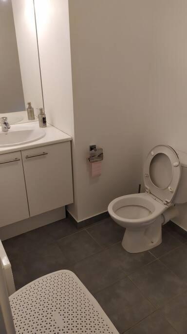 T2 De 42M² A Proximite De La Gare A 30Min De Paris Lejlighed Mantes-la-Jolie Eksteriør billede